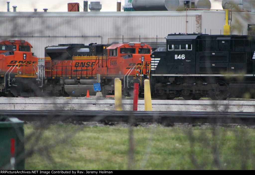 BNSF 8499 (1)